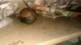 Hallaron una granada de mano en una escuela de Escobar
