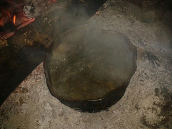 Ambiente realizó 8 actas por depredación de flora en Valle Fértil