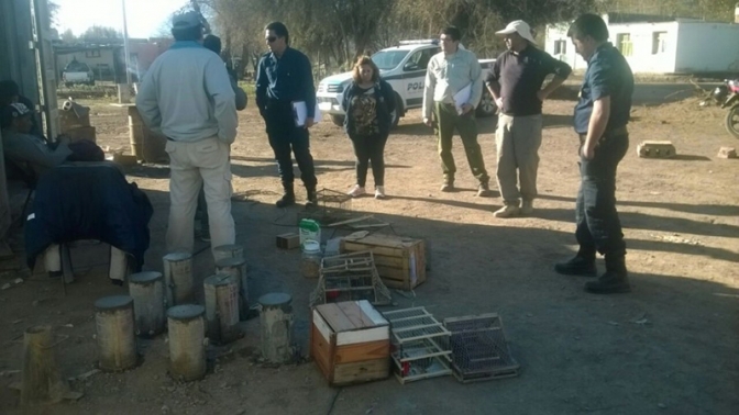 Tres detenidos en Valle Fértil por depredación de fauna