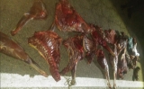 Rompieron el aislamiento obligatorio, cazaron cuatro guanacos y fueron capturados