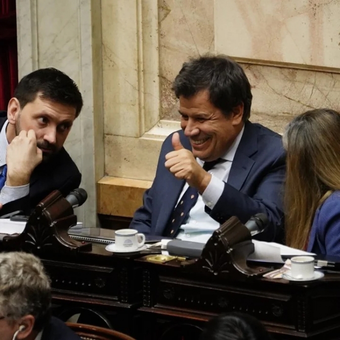 Diputados de “Democracia para Siempre” impulsan la derogación del decreto de Bullrich que reforma la Policía Federal