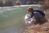 Ambiente vedó la pesca en el río Calingasta por un año