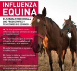 Medidas sanitarias en San Juan ante casos de influenza equina