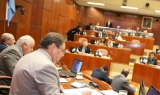 Segunda Sesión Especial: asumen dos nuevos diputados